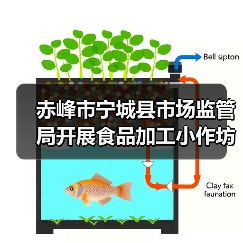 赤峰市宁城县市场监管局开展食品加工小作坊食品安全专项检查(图4) 赤峰市宁城县市场监管局开展食品加工小作坊食品安全专项检查(图4)