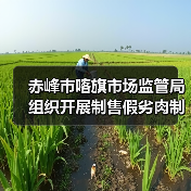赤峰市喀旗市场监管局组织开展制售假劣肉制品问题专项整治(图3) 赤峰市喀旗市场监管局组织开展制售假劣肉制品问题专项整治(图3)