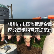 银川市市场监管局金凤区分局组织召开规范肉类产品生产经营行为提醒约谈告诫会(图4) 银川市市场监管局金凤区分局组织召开规范肉类产品生产经营行为提醒约谈告诫会(图4)