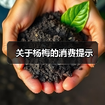 关于杨梅的消费提示(图3) 关于杨梅的消费提示(图3)