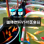 固体饮料VS特医食品（图1）