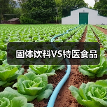 固体饮料VS特医食品（图2）