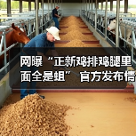 网曝“正新鸡排鸡腿里面全是蛆” 官方发布情况通报(图1) 网曝“正新鸡排鸡腿里面全是蛆” 官方发布情况通报(图1)
