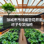 邹城市市场监管局开展粽子专项抽检(图3) 邹城市市场监管局开展粽子专项抽检(图3)