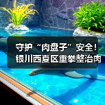 守护“肉盘子”安全！银川西夏区重拳整治肉制品市场（图3）