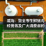 威海:致全市生鲜猪肉经营者及广大消费者的倡议书(图4) 威海:致全市生鲜猪肉经营者及广大消费者的倡议书(图4)
