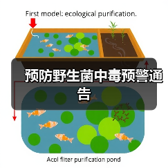 预防野生菌中毒预警通告(图4) 预防野生菌中毒预警通告(图4)