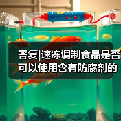 答复|速冻调制食品是否可以使用含有防腐剂的调味料(图1) 答复|速冻调制食品是否可以使用含有防腐剂的调味料(图1)