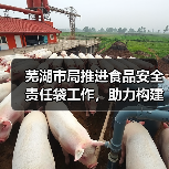 芜湖市局推进食品安全责任袋工作,助力构建食品安全监管体系(图2) 芜湖市局推进食品安全责任袋工作,助力构建食品安全监管体系(图2)