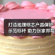 打造地理标志产品保护示范标杆 助力张家界莓茶产业高质量发展(图1) 打造地理标志产品保护示范标杆 助力张家界莓茶产业高质量发展(图1)