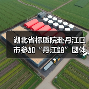 湖北省标质院赴丹江口市参加“丹江鲌”团体标准制定研讨会(图2) 湖北省标质院赴丹江口市参加“丹江鲌”团体标准制定研讨会(图2)
