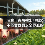 注意!青海检出10批次不符合食品安全标准的食品(图1) 注意!青海检出10批次不符合食品安全标准的食品(图1)