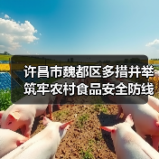 许昌市魏都区多措并举筑牢农村食品安全防线(图3) 许昌市魏都区多措并举筑牢农村食品安全防线(图3)