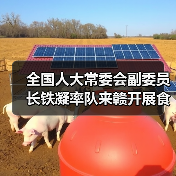 全国人大常委会副委员长铁凝率队来赣开展食品安全法执法检查(图1) 全国人大常委会副委员长铁凝率队来赣开展食品安全法执法检查(图1)