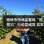 桂林市市场监管局“双整治”行动显成效 筑牢农村食品安全防线(图4) 桂林市市场监管局“双整治”行动显成效 筑牢农村食品安全防线(图4)