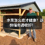 水果怎么吃才健康?这份指南请收好!(图1) 水果怎么吃才健康?这份指南请收好!(图1)