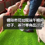 铜陵市局加强端午期间粽子、茶叶等商品过度包装监管(图4) 铜陵市局加强端午期间粽子、茶叶等商品过度包装监管(图4)