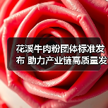 花溪牛肉粉团体标准发布 助力产业链高质量发展(图3) 花溪牛肉粉团体标准发布 助力产业链高质量发展(图3)