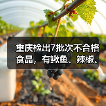 重庆检出7批次不合格食品,有鳅鱼、辣椒、腊肉等(图4) 重庆检出7批次不合格食品,有鳅鱼、辣椒、腊肉等(图4)