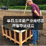 莘县瓜菜菌产业商标品牌指导站成立(图2) 莘县瓜菜菌产业商标品牌指导站成立(图2)