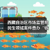 西藏自治区市场监管局民生领域案件查办“铁拳”行动典型案例(第一批)(图1) 西藏自治区市场监管局民生领域案件查办“铁拳”行动典型案例(第一批)(图1)