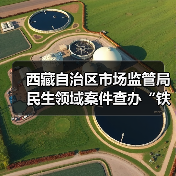 西藏自治区市场监管局民生领域案件查办“铁拳”行动典型案例(第一批)(图3) 西藏自治区市场监管局民生领域案件查办“铁拳”行动典型案例(第一批)(图3)