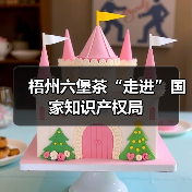 梧州六堡茶“走进”国家知识产权局(图4) 梧州六堡茶“走进”国家知识产权局(图4)