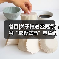 答复|关于推进名贵海马种“膨腹海马”申请纳入国家新食品原料目录及《福建省中药饮片炮制规范》的建议(图4) 答复|关于推进名贵海马种“膨腹海马”申请纳入国家新食品原料目录及《福建省中药饮片炮制规范》的建议(图4)