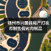 赣州市兴国县局严打夜市制售假劣肉制品(图2) 赣州市兴国县局严打夜市制售假劣肉制品(图2)