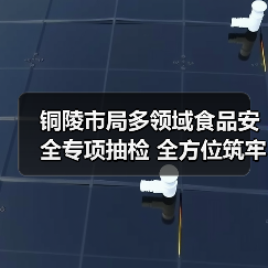 铜陵市局多领域食品安全专项抽检 全方位筑牢食品安全防线(图2) 铜陵市局多领域食品安全专项抽检 全方位筑牢食品安全防线(图2)