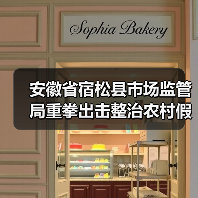 安徽省宿松县市场监管局重拳出击整治农村假冒伪劣食品(图1) 安徽省宿松县市场监管局重拳出击整治农村假冒伪劣食品(图1)