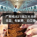 广东检出21批次不合格食品,有鱿鱼、白豆角、泥鳅等(图4) 广东检出21批次不合格食品,有鱿鱼、白豆角、泥鳅等(图4)