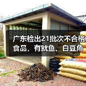 广东检出21批次不合格食品,有鱿鱼、白豆角、泥鳅等(图3) 广东检出21批次不合格食品,有鱿鱼、白豆角、泥鳅等(图3)