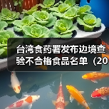 台湾食药署发布边境查验不合格食品名单(2025年5月6日)(图1) 台湾食药署发布边境查验不合格食品名单(2025年5月6日)(图1)