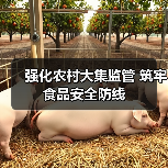 强化农村大集监管 筑牢食品安全防线(图3) 强化农村大集监管 筑牢食品安全防线(图3)