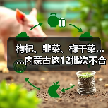 枸杞、韭菜、梅干菜……内蒙古这12批次不合格食品被通报(图2) 枸杞、韭菜、梅干菜……内蒙古这12批次不合格食品被通报(图2)