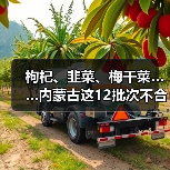 枸杞、韭菜、梅干菜……内蒙古这12批次不合格食品被通报(图4) 枸杞、韭菜、梅干菜……内蒙古这12批次不合格食品被通报(图4)