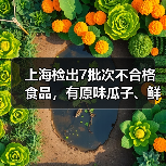 上海检出7批次不合格食品,有原味瓜子、鲜虾麻花、肉松饼等(图3) 上海检出7批次不合格食品,有原味瓜子、鲜虾麻花、肉松饼等(图3)
