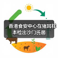 香港食安中心在猪耳样本检出沙门氏菌(图2) 香港食安中心在猪耳样本检出沙门氏菌(图2)