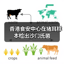 香港食安中心在猪耳样本检出沙门氏菌(图4) 香港食安中心在猪耳样本检出沙门氏菌(图4)