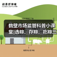 鹤壁市场监管科普小课堂|选粽、存粽、吃粽三步解锁端午“粽”要知识(图4) 鹤壁市场监管科普小课堂|选粽、存粽、吃粽三步解锁端午“粽”要知识(图4)