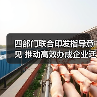 四部门联合印发指导意见 推动高效办成企业迁移登记“一件事”（图1）