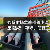 鹤壁市场监管科普小课堂|选粽、存粽、吃粽三步解锁端午“粽”要知识(图1) 鹤壁市场监管科普小课堂|选粽、存粽、吃粽三步解锁端午“粽”要知识(图1)