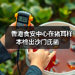 香港食安中心在猪耳样本检出沙门氏菌(图3) 香港食安中心在猪耳样本检出沙门氏菌(图3)