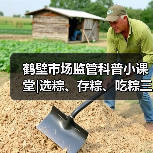 鹤壁市场监管科普小课堂|选粽、存粽、吃粽三步解锁端午“粽”要知识(图2) 鹤壁市场监管科普小课堂|选粽、存粽、吃粽三步解锁端午“粽”要知识(图2)
