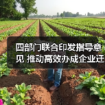 四部门联合印发指导意见 推动高效办成企业迁移登记“一件事”（图4）
