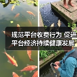 规范平台收费行为 促进平台经济持续健康发展《网络交易平台收费行为合规指南》面向社会征求意见(图1) 规范平台收费行为 促进平台经济持续健康发展《网络交易平台收费行为合规指南》面向社会征求意见(图1)