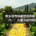 东乡县市场监管局开展“六一”儿童节前校园周边食品安全专项检查(图4) 东乡县市场监管局开展“六一”儿童节前校园周边食品安全专项检查(图4)