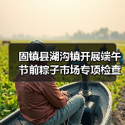 固镇县湖沟镇开展端午节前粽子市场专项检查工作(图2) 固镇县湖沟镇开展端午节前粽子市场专项检查工作(图2)