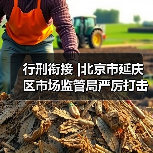 行刑衔接 |北京市延庆区市场监管局严厉打击食品药品违法犯罪行为,扎牢织密民生保障安全网(图4) 行刑衔接 |北京市延庆区市场监管局严厉打击食品药品违法犯罪行为,扎牢织密民生保障安全网(图4)